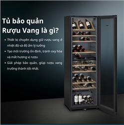 Tủ bảo quản rượu vang là gì? Vì sao cần tủ chuyên dụng để lưu trữ rượu vang
